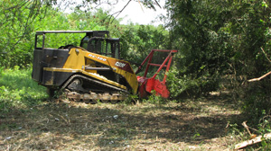 Brush Control